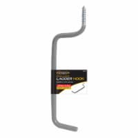 CargoLoc Screw-In Ladder Hook Perspective: Main