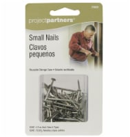 Project Partners Small Nails - Silver