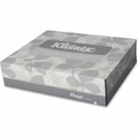White Facial Tissue Junior Pack, 2-Ply, 40 Sheets/Box, 80 Boxes/Carton 21195