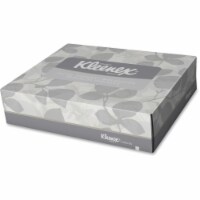 White Facial Tissue Junior Pack, 2-Ply, 40 Sheets/Box, 80 Boxes/Carton 21195