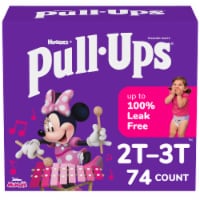 Pull-Ups Learning Designs Girls' Potty Training Pants 2T-3T (16-34 lbs)