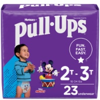 Pull-Ups® New Leaf Girls' Potty Training Pants, 2T-3T (16-34 lbs), 124 ct -  Harris Teeter