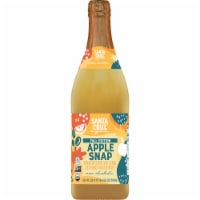 Santa Cruz Organic Apple Snap Sparkling Juice Perspective: Main