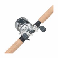 Abu Garcia Ambassadeur Baicaster Combo Perspective: Main