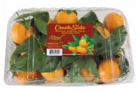 Creekside® Mandarins with Stems and Leaves