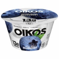 Oikos® Blueberry Blended Greek Yogurt Cup Perspective: Main