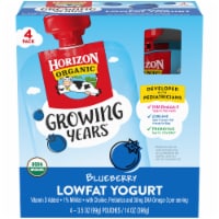 Horizon Organic® Blueberry Kids Lowfat Yogurt Pouches