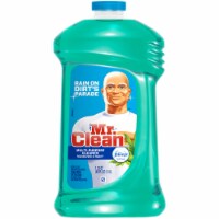 Mr. Clean with Febreze Freshness Meadows & Rain Scent Multi-Purpose Cleaner Perspective: Main