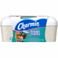Charmin Freshmates Flushable Wipes Perspective: Main