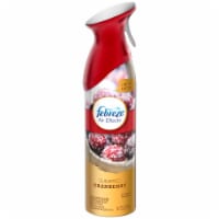 Febreze Air Effects Cranberries & Frost Spray Perspective: Main
