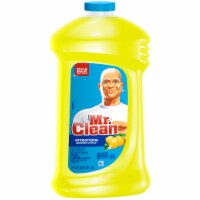 Mr. Clean Summer Citrus Antibacterial Multi-Purpose Cleaner Perspective: Main