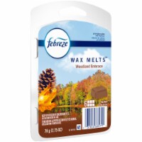 Febreze Woodland Embrace Wax Melts Air Freshener Perspective: Main