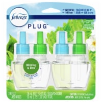 Febreze Plug™ Morning Dew Air Freshener Refill Perspective: Main