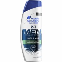 Head and Shoulders Advanced Series Sage and Mint 2-in-1 Shampoo and Conditioner for Men
