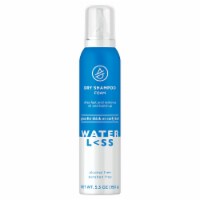 Pay Less Super Markets Waterless Dry Shampoo Foam 5 29 Oz