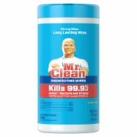 Mr. Clean® Disinfecting Wipes Citrus Wipe & Go