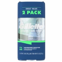 Gillette Endurance Wild Rain Clear Gel Anti-Perspirant Deodorant Twin Pack