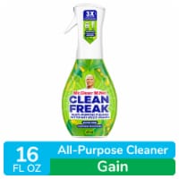 Mr. Clean Gain Original Scent Deep Cleaning Mist Multi-Surface Spray Starter Kit Perspective: Main