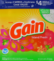 Gain Island Fresh Powder Laundry Detergent Perspective: Main