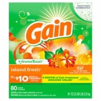 Gain HE Compatible Island Fresh Scent Powder Laundry Detergent
