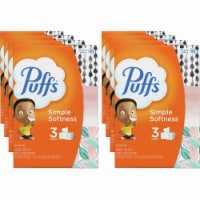 Puffs® 2-Ply Facial Tissue