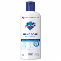 Safeguard Fresh Clean Liquid Hand Soap Refill Perspective: Main