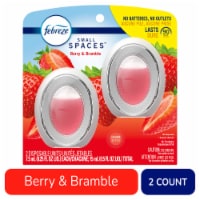 Febreze Small Spaces Berry & Bramble Scent Air Freshener
