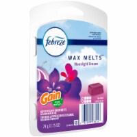 Febreze Moonlight Breeze with Gain Scent Wax Melts Perspective: Main