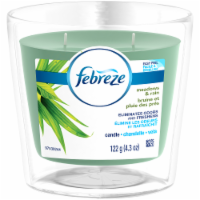 Febreze Meadows & Rain Candle Perspective: Main