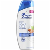 Head & Shoulders Dry Scalp Care Daily Anti-Dandruff Shampoo Perspective: Main