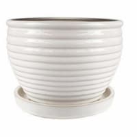 Trendspot 256527 6 in. Honey Planter, Cream White - Pack of 6
