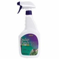 Bonide Sucker Punch Undesirable Fruit Weed & Feed RTU Liquid 16 oz