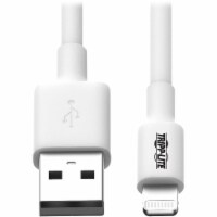 Tripp Lite Data Transfer Cable M100006WH