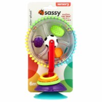 Sassy® Wonder Wheel Toy Perspective: Main