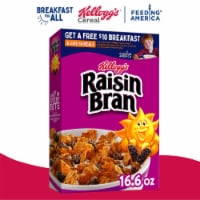 Kellogg's Raisin Bran Original Breakfast Cereal