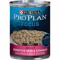 Pro Plan 13oz Skn&stm Slm Dogfood 381717