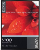 Pinnacle Snap 16 x 20 Poster Frame - Black Perspective: Main