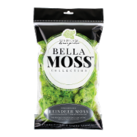 Syndicate Home and Garden Bella Moss Collection Preserved Reindeer Moss - Green