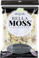 Bella Moss 1407101082 Preserved Reindeer Moss, Natural, 200 cu in