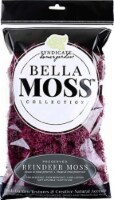 Bella Moss Preserved Reindeer Moss, Sangria, 80 cu in.