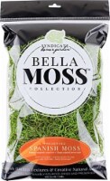 Bella Moss 141112070 Preserved Spanish Moss, Green
