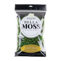 Syndicate Home and Garden Bella Moss Collection Preserved Forest Moss
