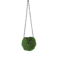 Syndicate Home and Garden Kokedama - Green Perspective: Main