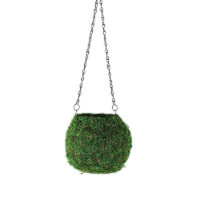 Syndicate Kokedama Perspective: Main