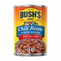 Bush's Pinto Beans in a Spicy Chili Sauce 16 oz Perspective: Main