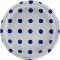 Creative Converting Dots & Stripes Lunch Plates - Cobalt Perspective: Main