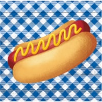 Party Creations Summer Outdoor Cocktail Napkins - Gingham Cookout