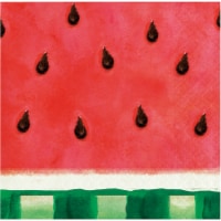 Party Creations Summer Outdoor Cocktail Napkins - Watermelon Stripes