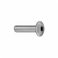 Tamper-Pruf Screw MS,1/4 -20,Zinc Plated,2 L,25PK 400420