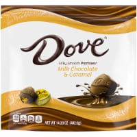 Dove Promises Stand Up Pouch Milk Chocolate Caramel Candy